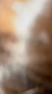 [原创]手势验证，能看到奶子吗？