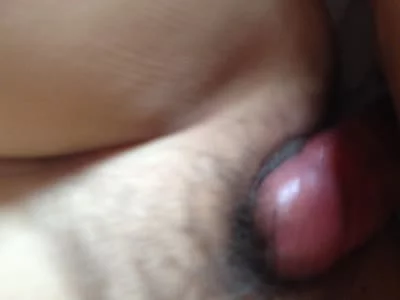 91验证